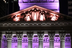 VW Brisbane City Hall_7878